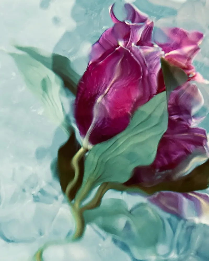 Aqua Flora No. 21