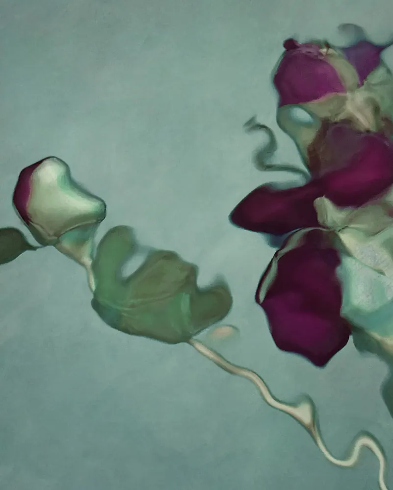 Aqua Flora No. 27