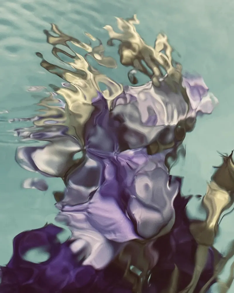 Aqua Flora No. 6