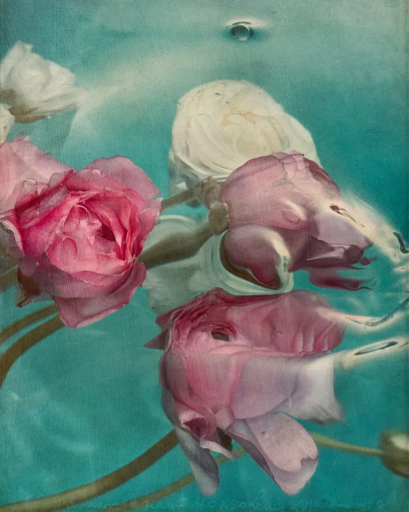 Aqua Flora No. 19
