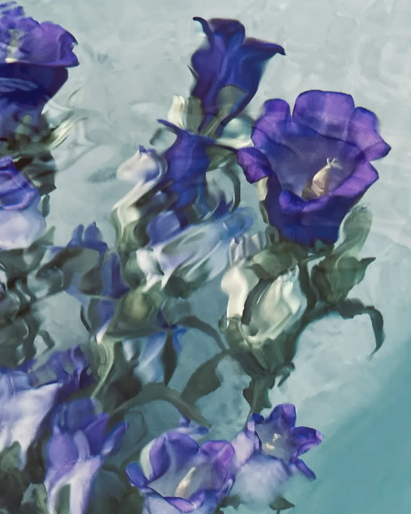 Aqua Flora No. 23